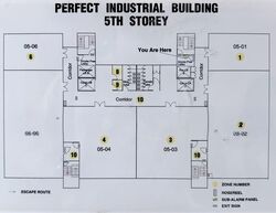 Perfect One (D13), Factory #589174711